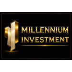 MILLENNIUM INVESTMENT GAYRİMENKUL
