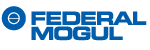 Federal Mogul