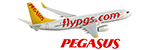 Pegasus Hava Taşımacılığı